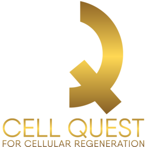 Main Logo
