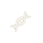 Genetic diagnostics and custom therapy planning at Cell Quest Malaysia