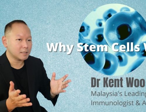 Why Stem Cell Works