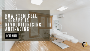 Understanding Stem Cells