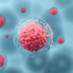 stem cell (2)